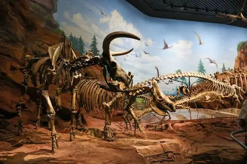 新建的澄江化石地自然博物馆位于化石遗址之上投资63亿元占地面积190