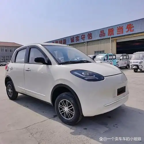 万元就可以开回家的不用上牌新能源车您确定不看看么