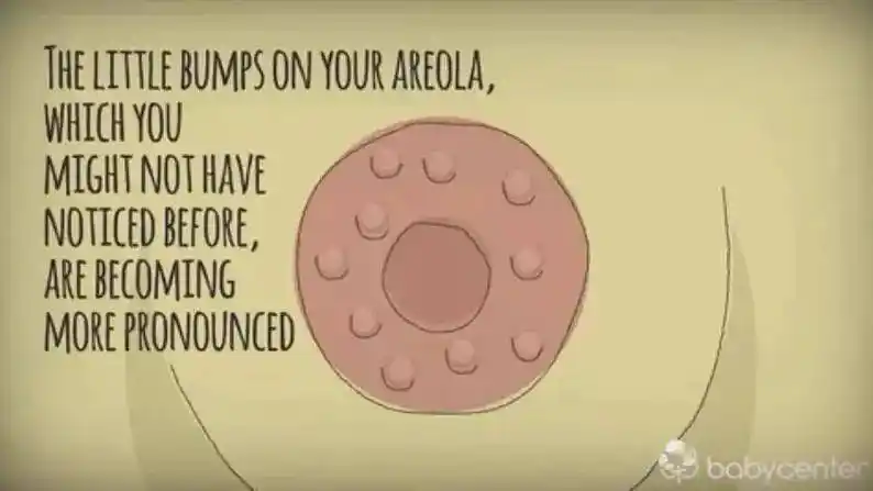 怀孕期间,你的乳房会发生这七种变化!