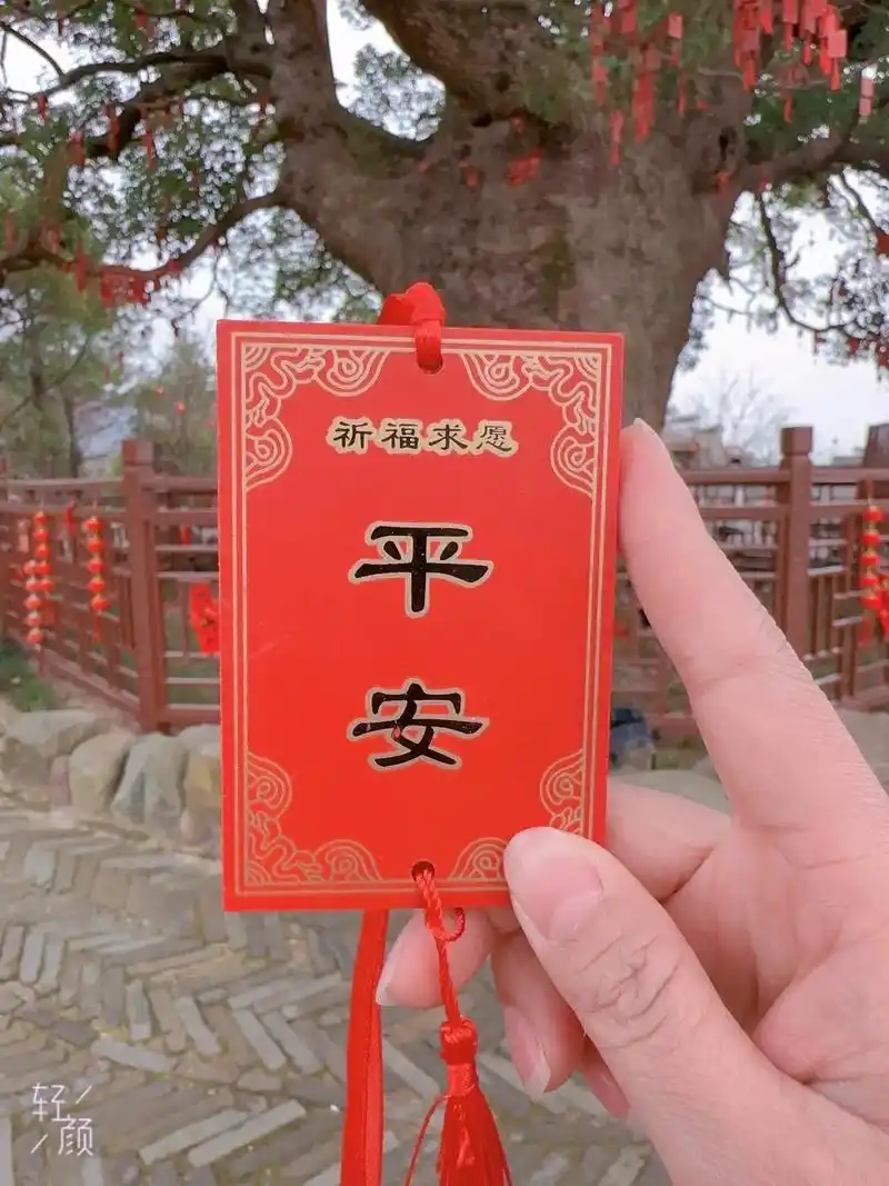 平安健康05 - 抖音