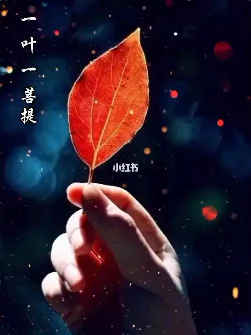 一花一世界一叶一菩提