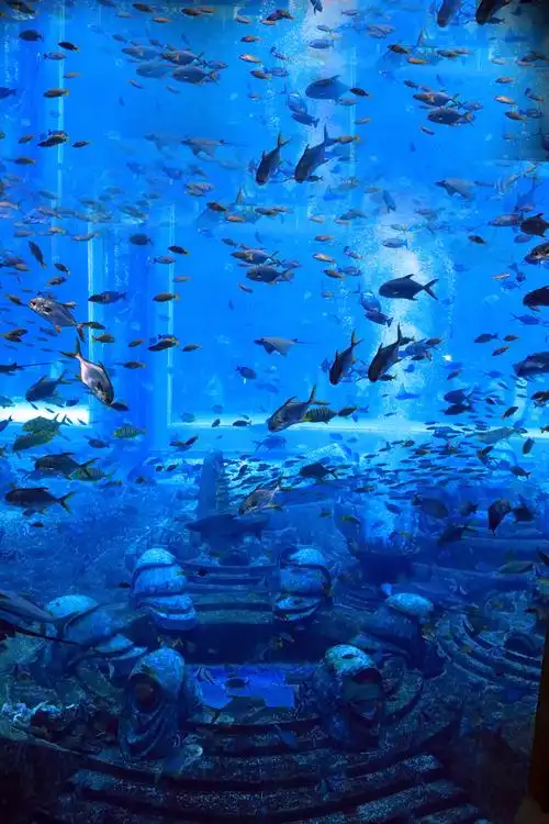 家庭海南游影视系列(之三)三亚"亚特兰蒂斯,失落的空间水族馆 ",2020.