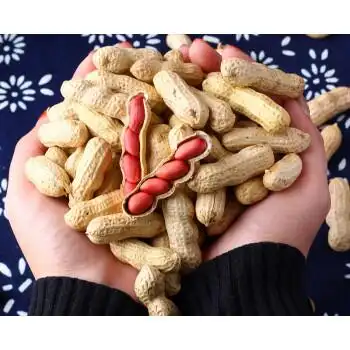 东北四粒红花生带壳红皮铁锅炒熟花生米仁原味3斤炒四粒红3斤