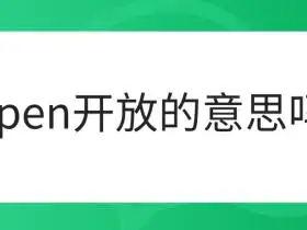 open开放的意思吗