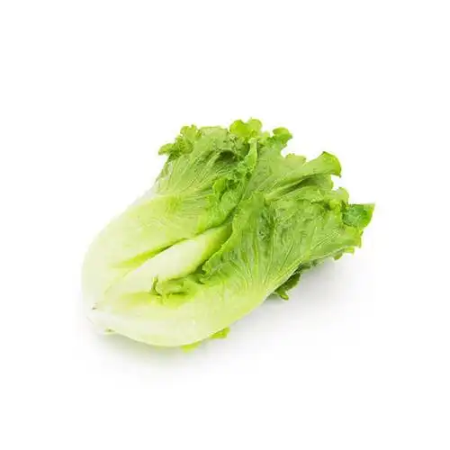 生菜春菜约400g份