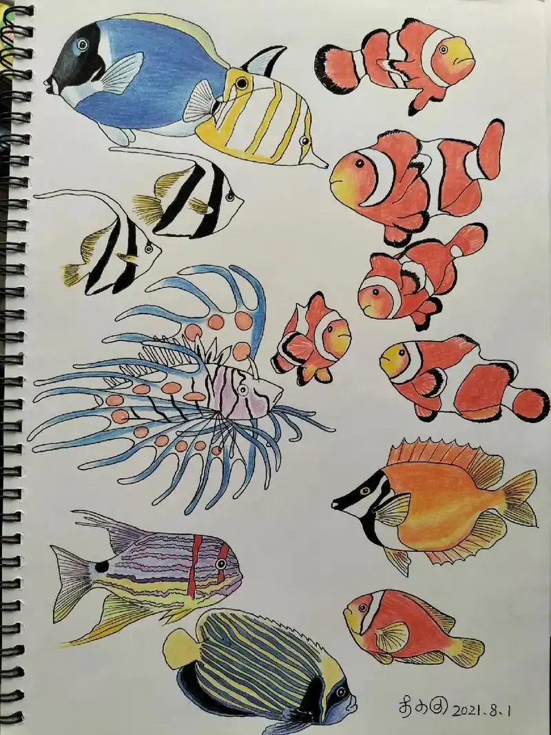海底世界各种海鱼绘画.#绘画 #一起学画画 #手绘 #画画  - 抖音