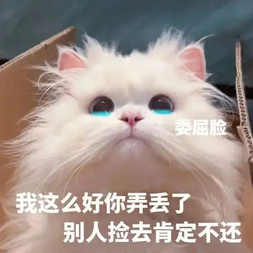 猫咪表情包之委屈大冤种快立马添加