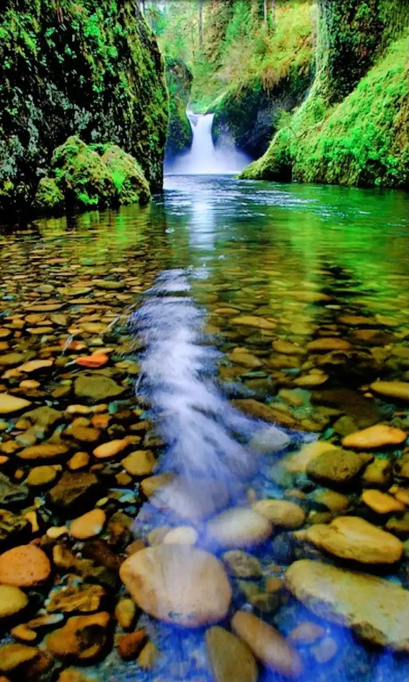 唯美意境 #美在山水间 #山间小溪 - 抖音