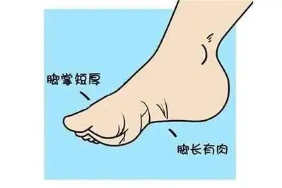 脚相分析:1,双脚较小,饱满有肉,绵软多属于所谓的贵人脚;2 - 抖音