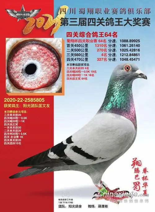 四川蜀翔职业赛鸽俱乐部四关综合鸽王64名