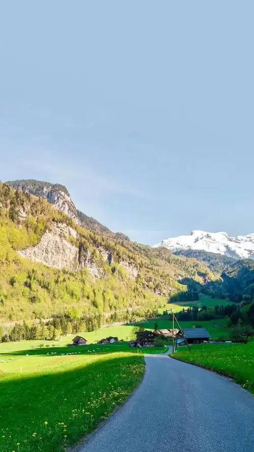 瑞士宁静之美小清新绿色手机壁纸 第一辑-风景-手机壁纸下载-美桌网