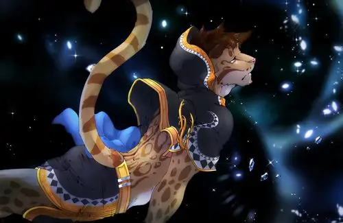 家有大猫 - 堆糖,美图壁纸兴趣社区