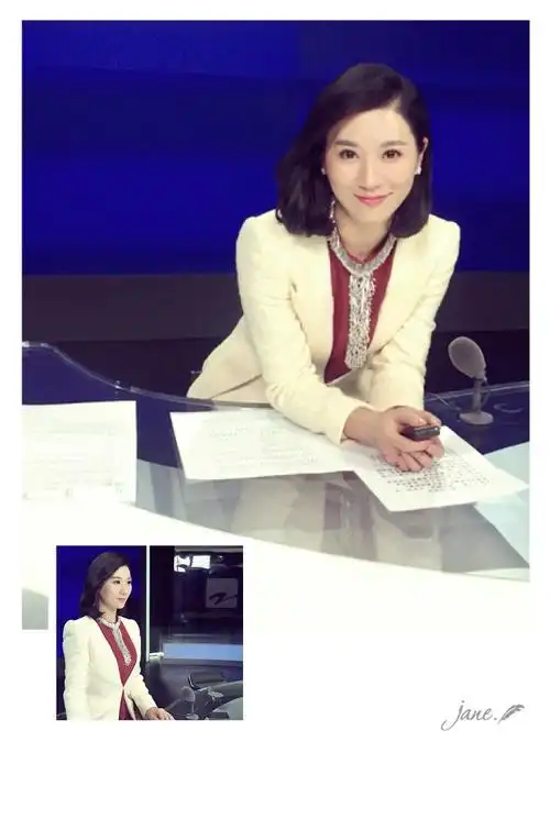 秦原主持节目图片