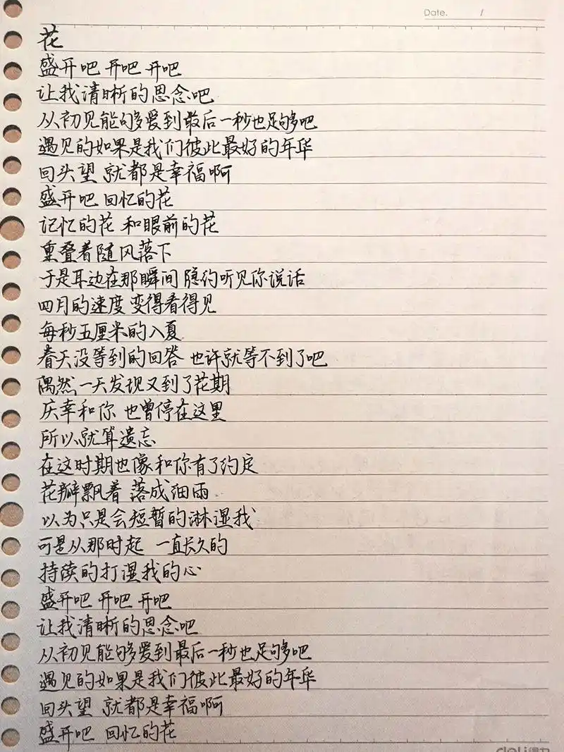 一天抄一首歌的歌词(81)《花》 原唱:鞠婧祎