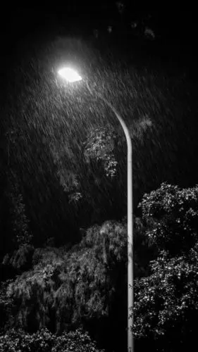 我喜欢孤独和夜雨