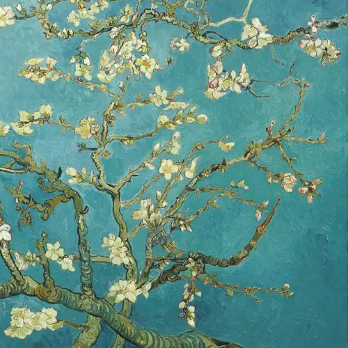 梵高-盛开的杏花2.jpg