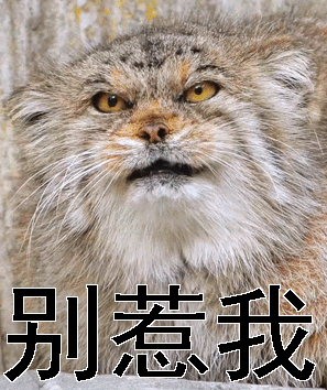 得罪gif别惹我gif