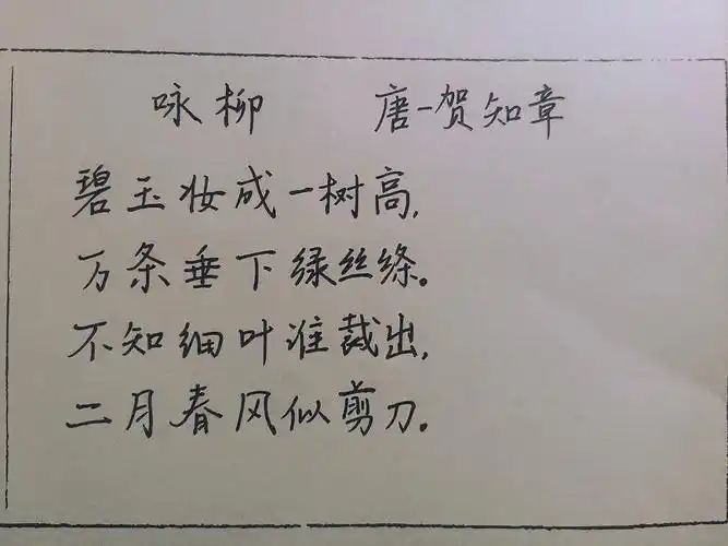 day49手写田英章硬笔楷书练习