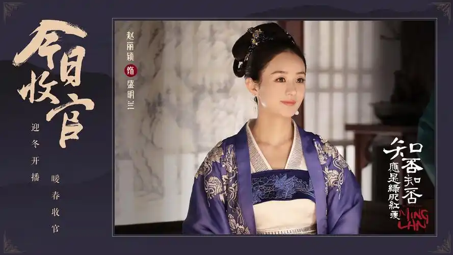 知否知否应是绿肥红瘦收官海报图片桌面壁纸