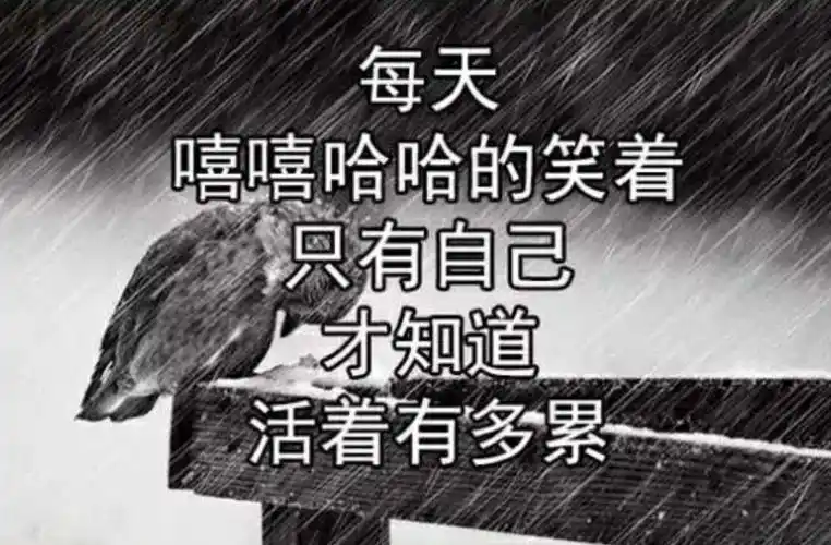 有些心情,无法言语