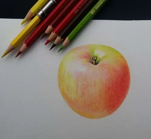 我的彩铅画——苹果! - 美篇