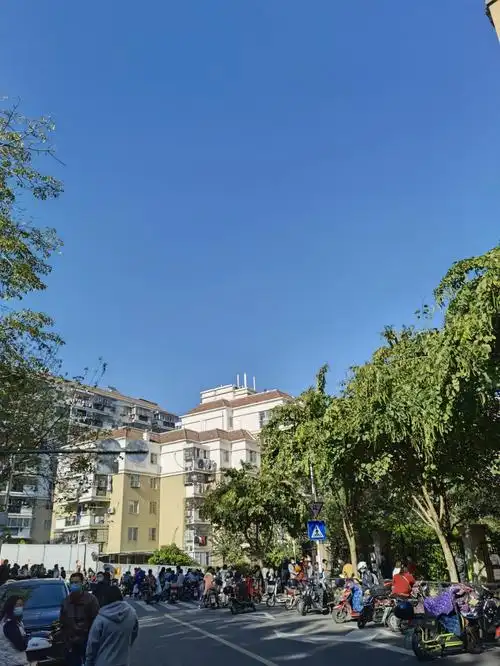 华为mate40pro拍照