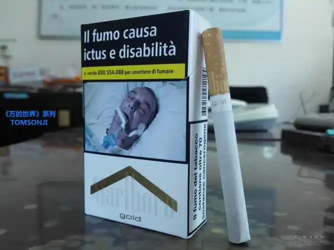 69 非大陆香烟 69 【万的世界】系列(免税版)(la码)意大利(硬白金