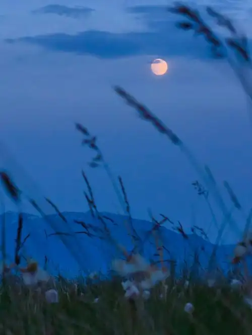 赛里木湖的超级月亮超级美