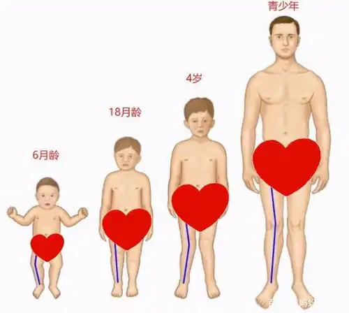 宝宝大长腿"终结者":o型腿,x型腿,怎样预防孩子腿型异常