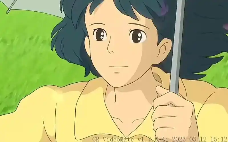 倘若四季你都在 这一生 该很好. #起风了 #宫崎骏 (1)