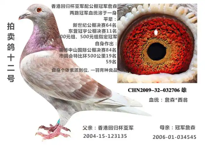 冠军詹森*西翁 保证金级 拍卖