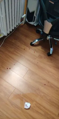 求分析猫在的房间满地血