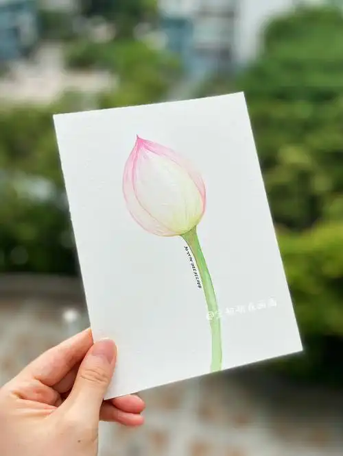 预告第112期零基础水彩教程