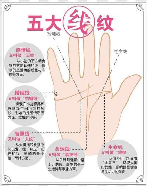 最详细的女人手相图解_word文档在线阅读与下载_免费文档