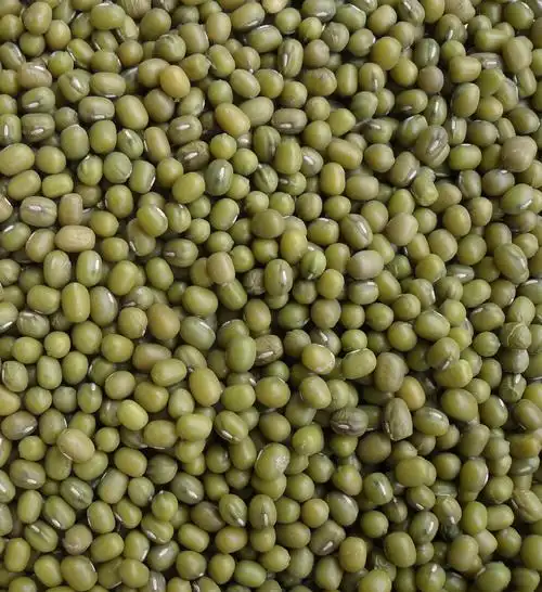 大量批发东北绿豆