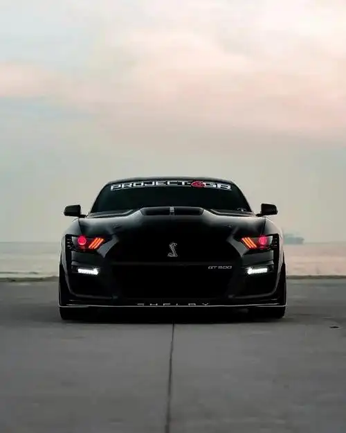 福特野马gt500两侧倾斜的前照灯开口使前端的外观更加令人惊艳.