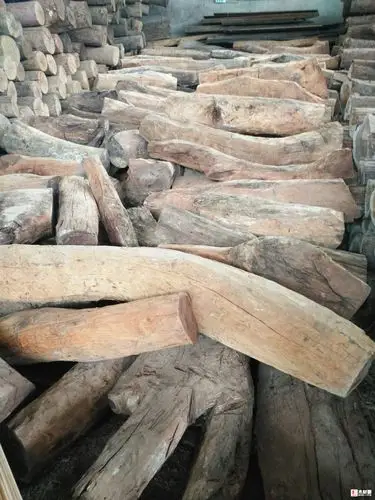 紫油木(清香木) - 批木网