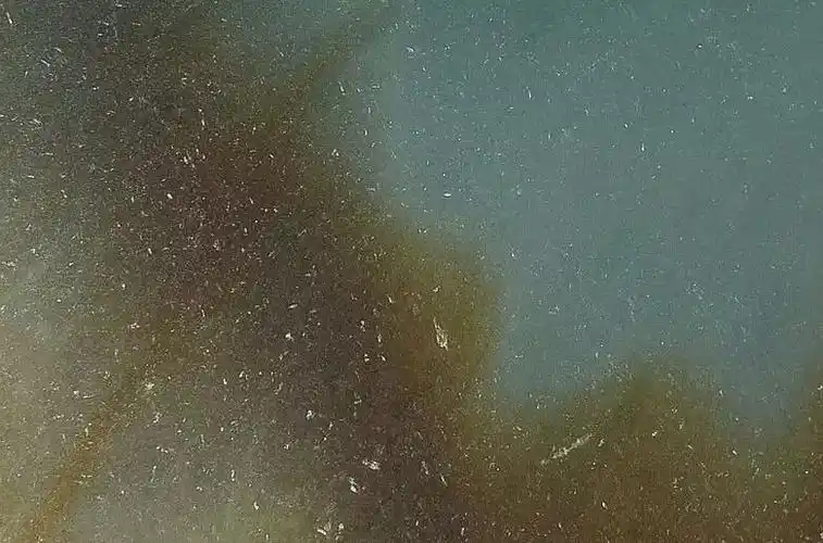 你真的相信,有苍蝇翅必是翡翠无疑?