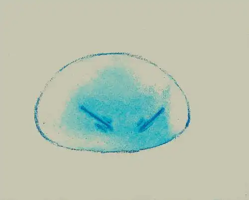 是水彩和彩铅画的萌王  ta超可爱wwwwwwww