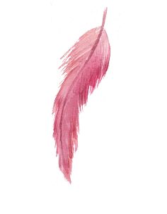 美羽毛 水彩素材 手绘素材 飘落 #彩色羽毛# #羽毛png# #羽毛