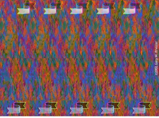 三维立体画欣赏-外国精品(13) stereogram of gary w. priest.