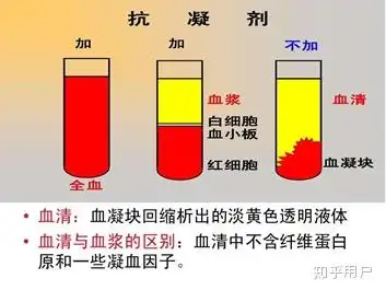 血浆与血清有什么区别?