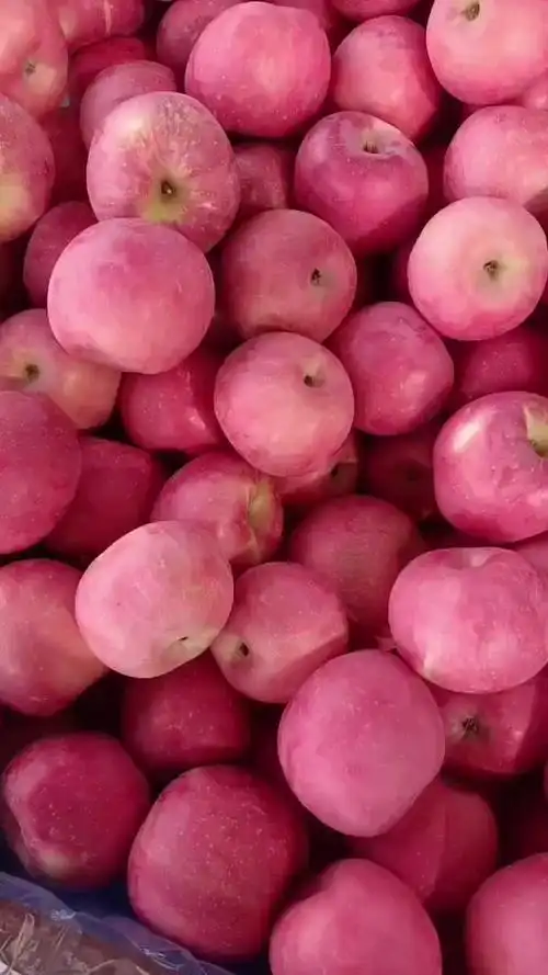 富县红富士苹果价格行情走势 - 一亩田