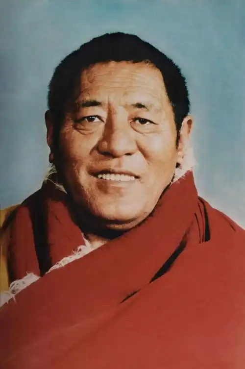 纪念法王如意宝诞辰 | 新曲首发