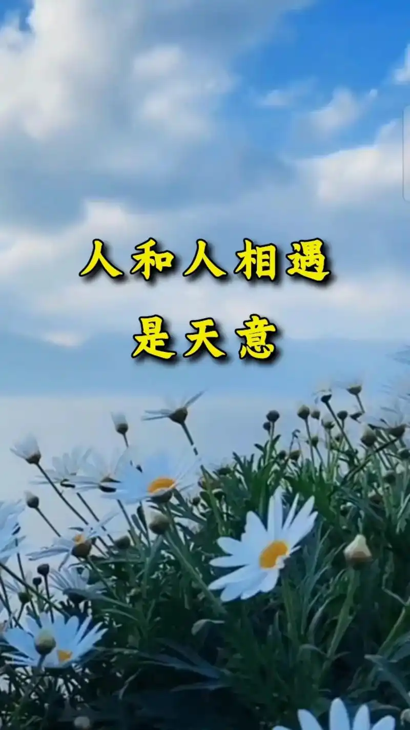 人和人相遇是天意,人和人相处是仁义,想要一直陪伴就要坦诚相待 - 抖