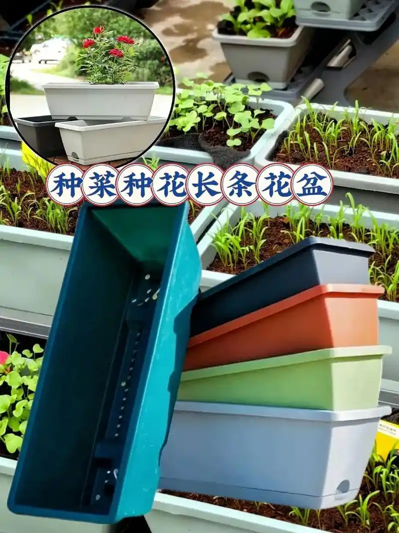 阳台小院儿养花种菜神器