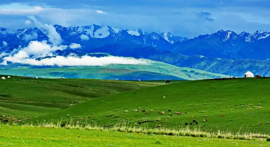 新疆伊犁昭苏大草原