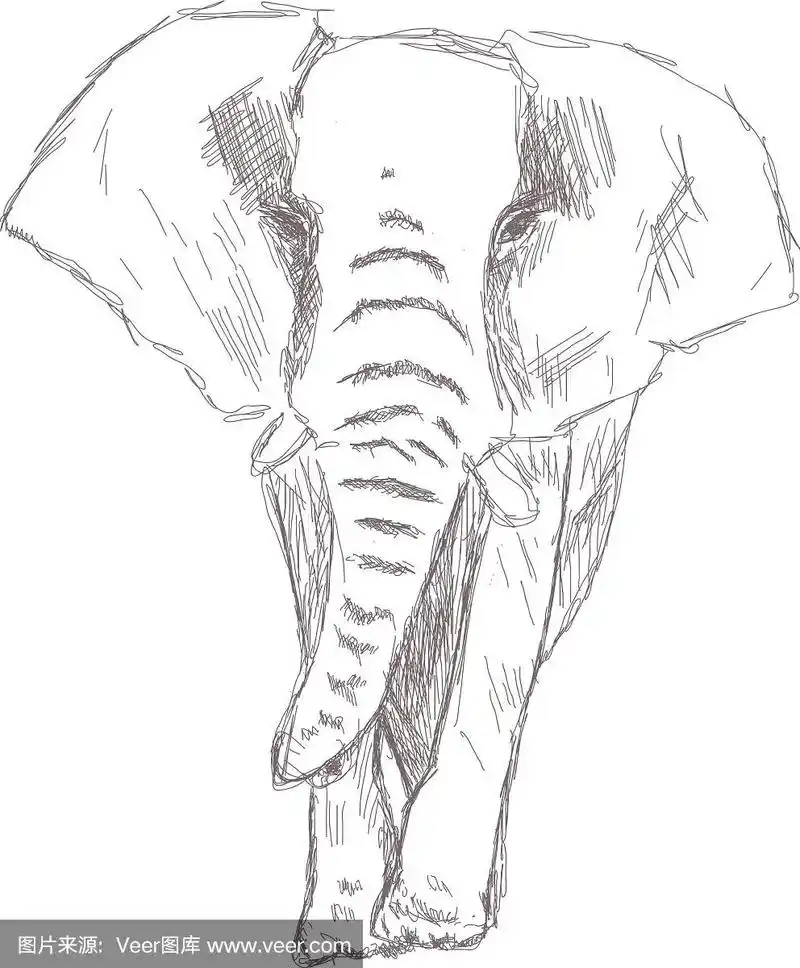 孤立的素描图像大象