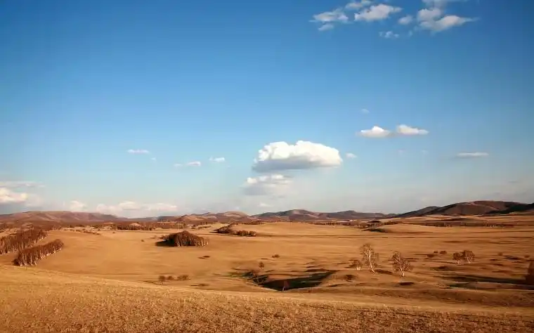 我爱"塞罕坝"!我爱"塞罕坝"的原野