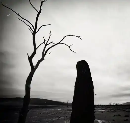 对爱情失望让人心疼的短句(对感情心灰意冷的句子)